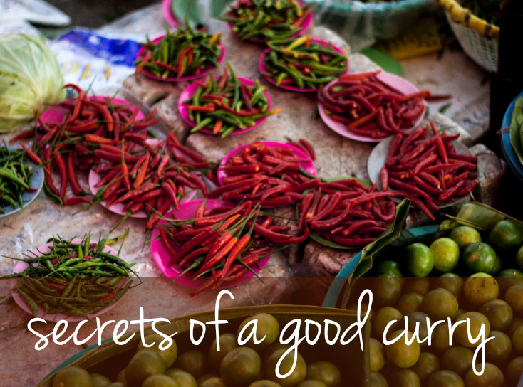 Secrets of a good curry